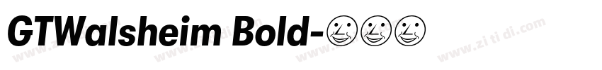 GTWalsheim Bold字体转换 GTWalsheim Bold字体转换